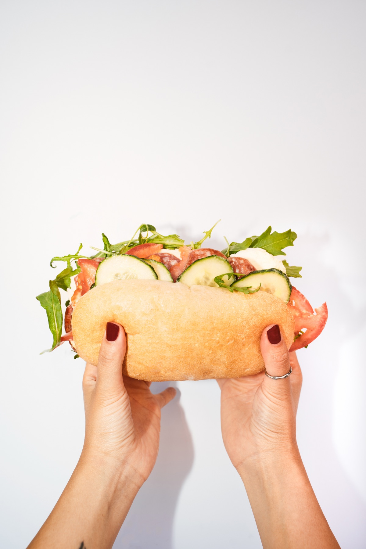 Two hands holding up the Tony sandwich against a white wall